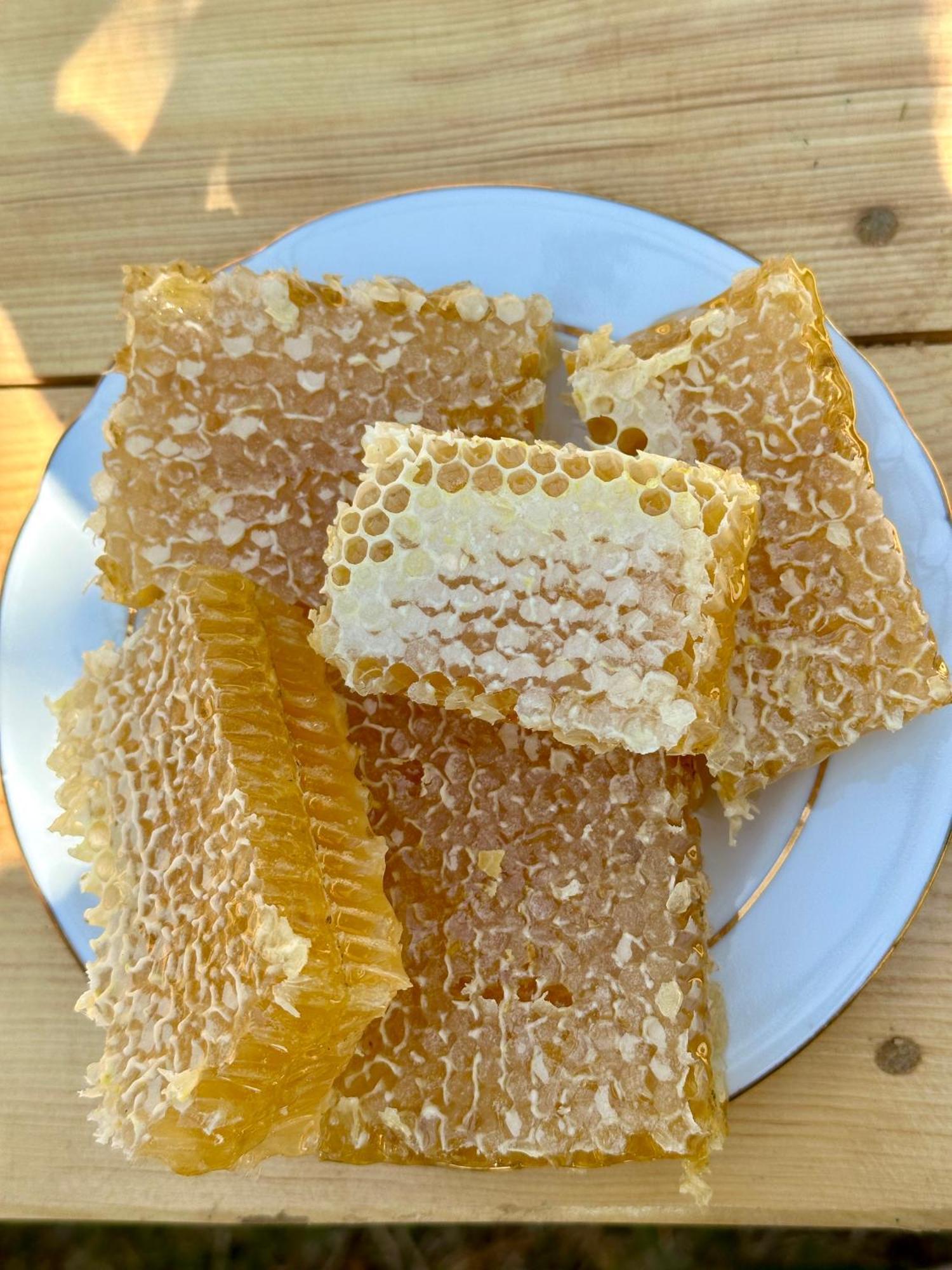 מלון אושגולי Nanila מראה חיצוני תמונה